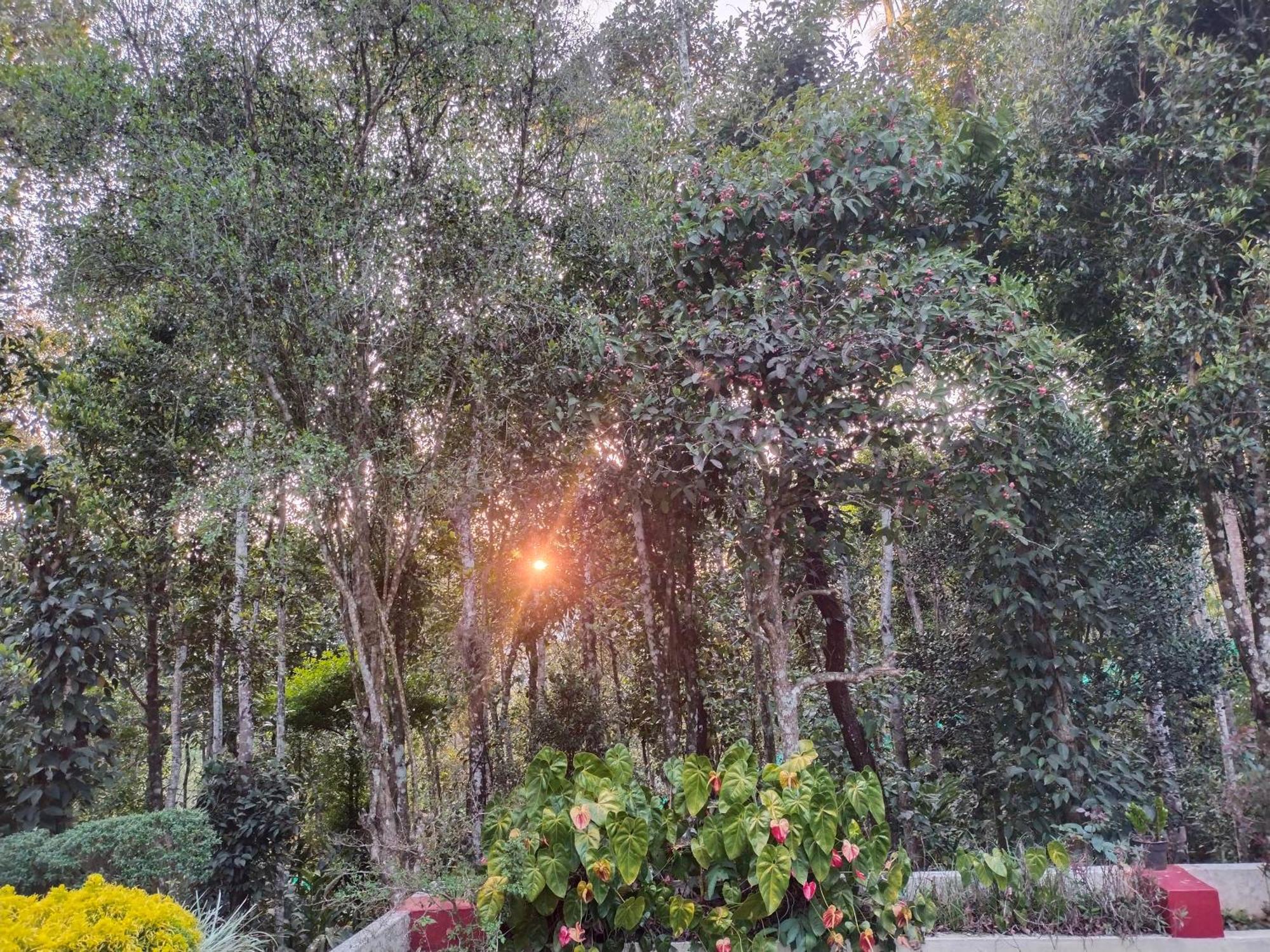 Philip Mary Farm Stay Thekkady Exterior photo