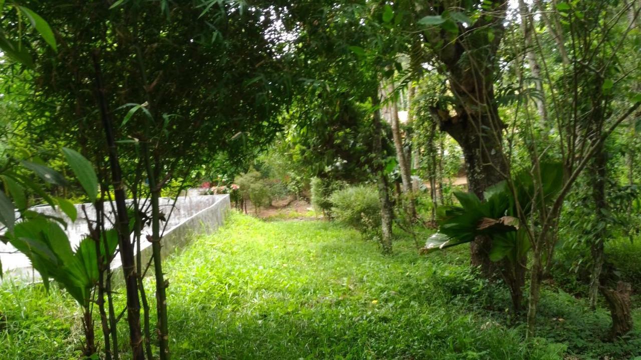 Philip Mary Farm Stay Thekkady Exterior photo