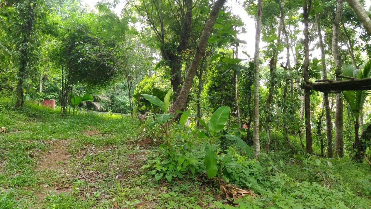 Philip Mary Farm Stay Thekkady Exterior photo