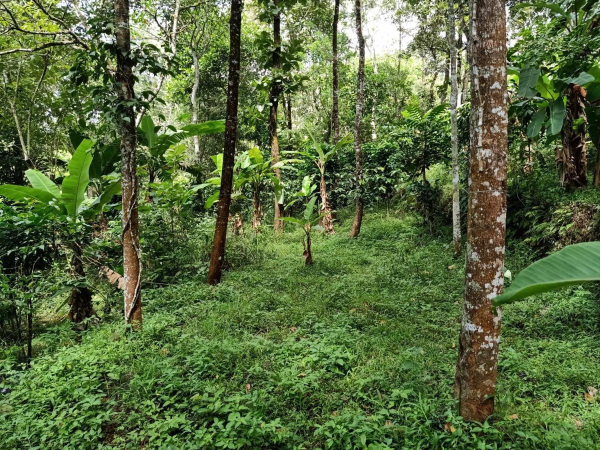 Philip Mary Farm Stay Thekkady Exterior photo